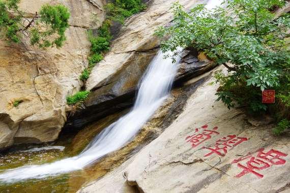 凤凰不好惹
